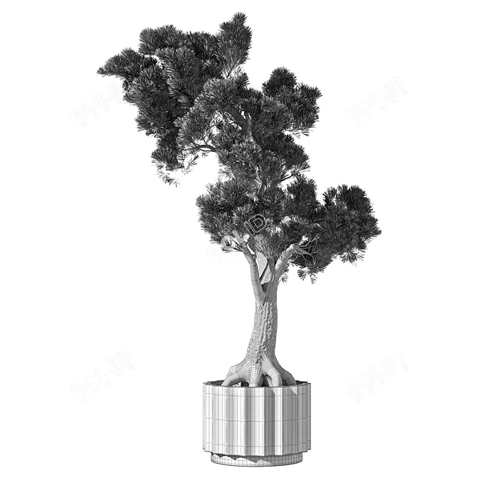 Lush Indoor Plant Set 3D model image 5