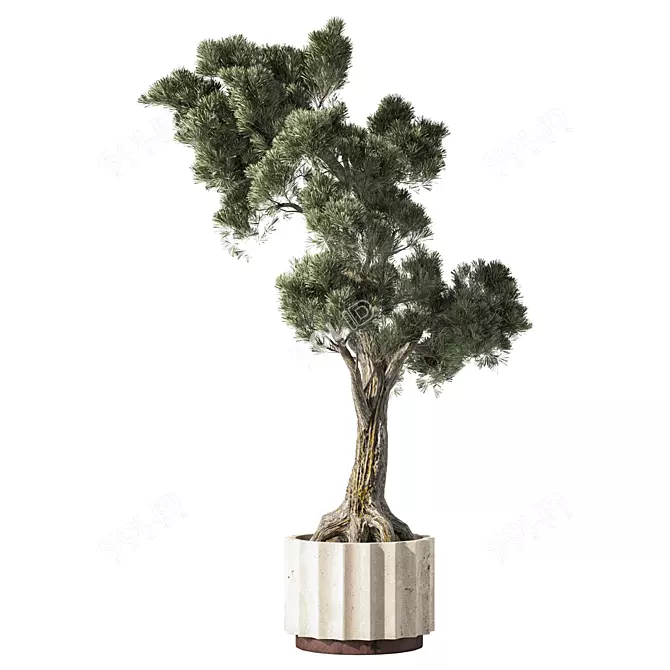 Lush Indoor Plant Set 3D model image 6