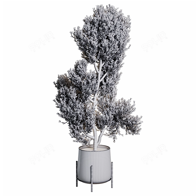 202,753 Poly Indoor Plant Model 3D model image 4