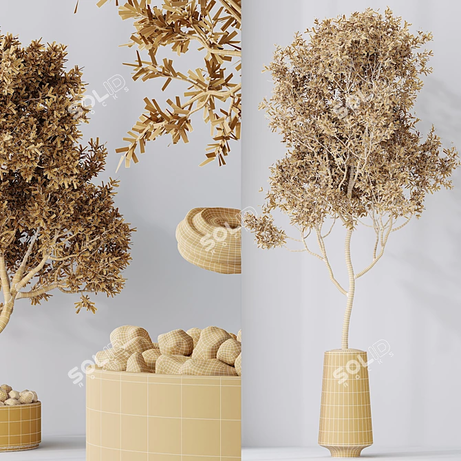 Modern Indoor Plant Set Trio 3D model image 7