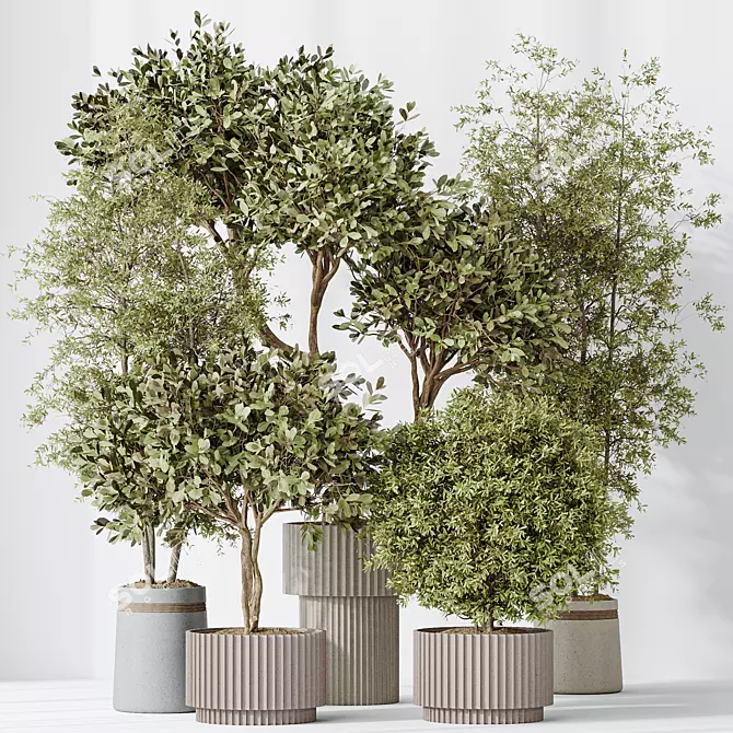 5 Indoor Plant 3D Models 3D model image 2