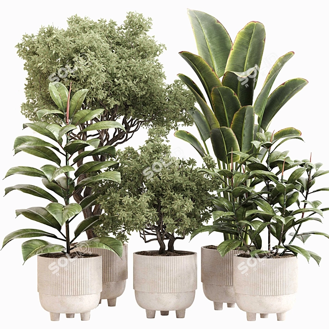 Stylish Indoor Plant Set 092 3D model image 1