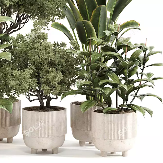 Stylish Indoor Plant Set 092 3D model image 2