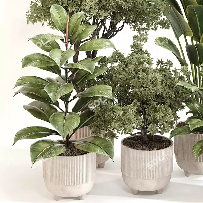 Stylish Indoor Plant Set 092 3D model image 3