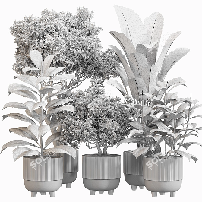 Stylish Indoor Plant Set 092 3D model image 5