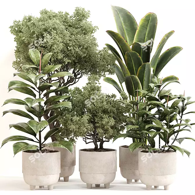 Stylish Indoor Plant Set 092 3D model image 6