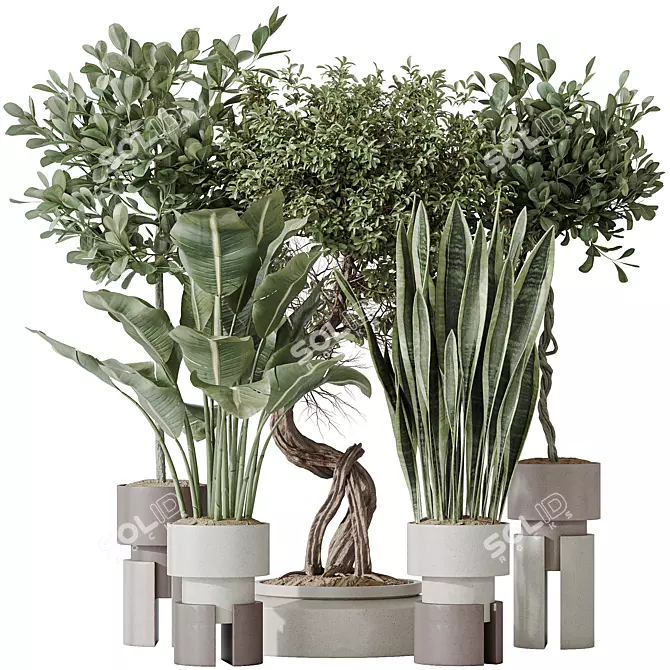 Ultimate Indoor Plant Collection 3D model image 1