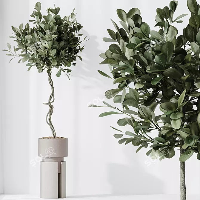 Ultimate Indoor Plant Collection 3D model image 3