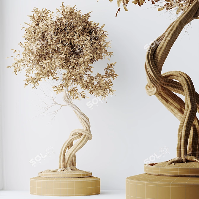 Ultimate Indoor Plant Collection 3D model image 6