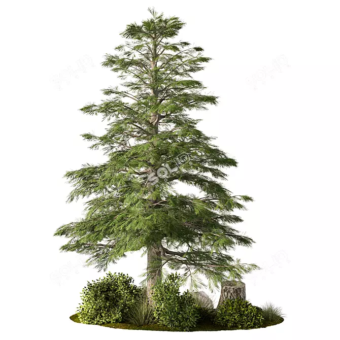 Rustic Outdoor Plant Set 3D model image 1