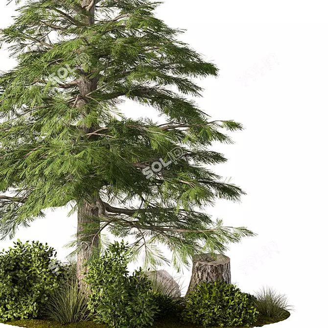 Rustic Outdoor Plant Set 3D model image 2