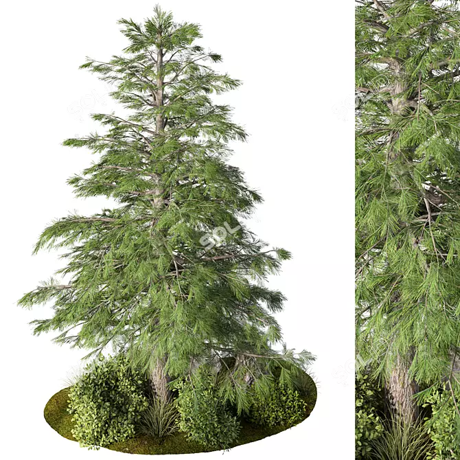 Rustic Outdoor Plant Set 3D model image 3