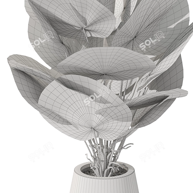 Botanical Beauty Collection 1079 3D model image 5