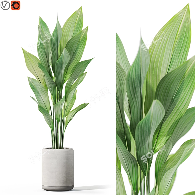  Greenery Assortment Pack 1080 3D model image 1