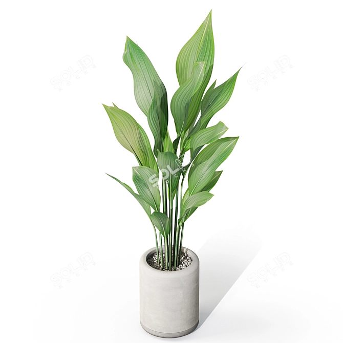  Greenery Assortment Pack 1080 3D model image 3