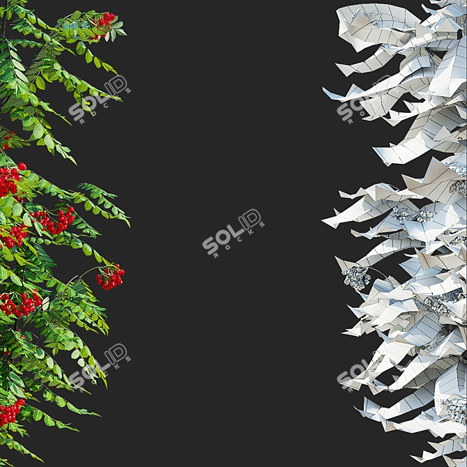 Sorbus Aucuparia Fastigiata Tree Set 3D model image 3