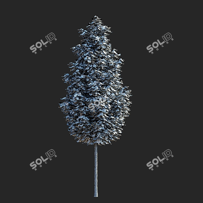 Sorbus Aucuparia Fastigiata Tree Set 3D model image 7