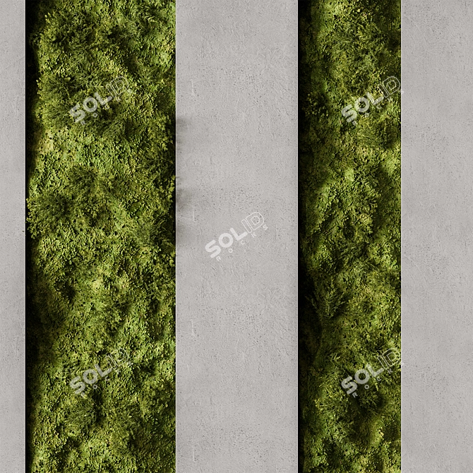 Moss Wall Vertical Garden Rack 3D model image 2