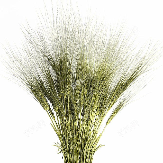 Green Wheat Field Bouquet  3D model image 4