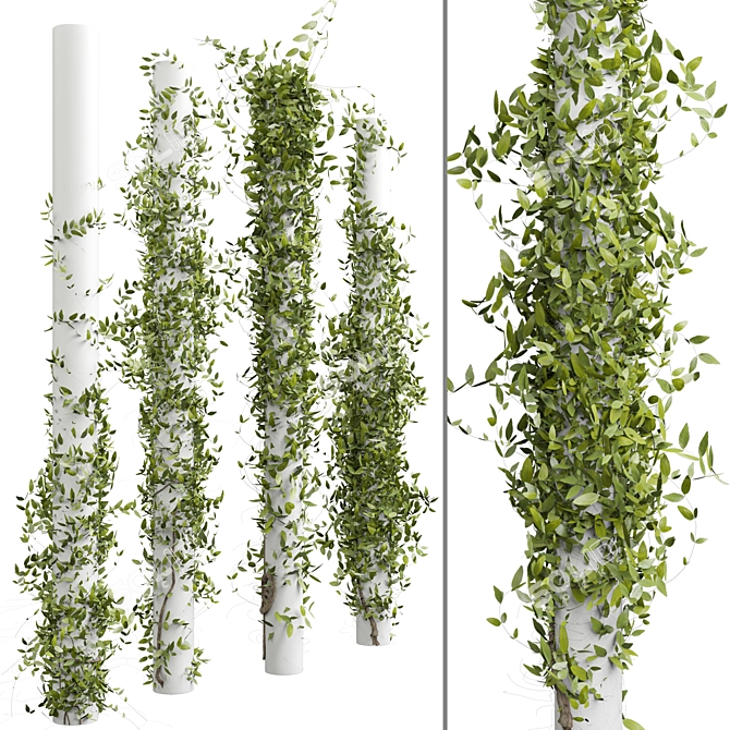 Outdoor Plant 180 3D Model 3D model image 1