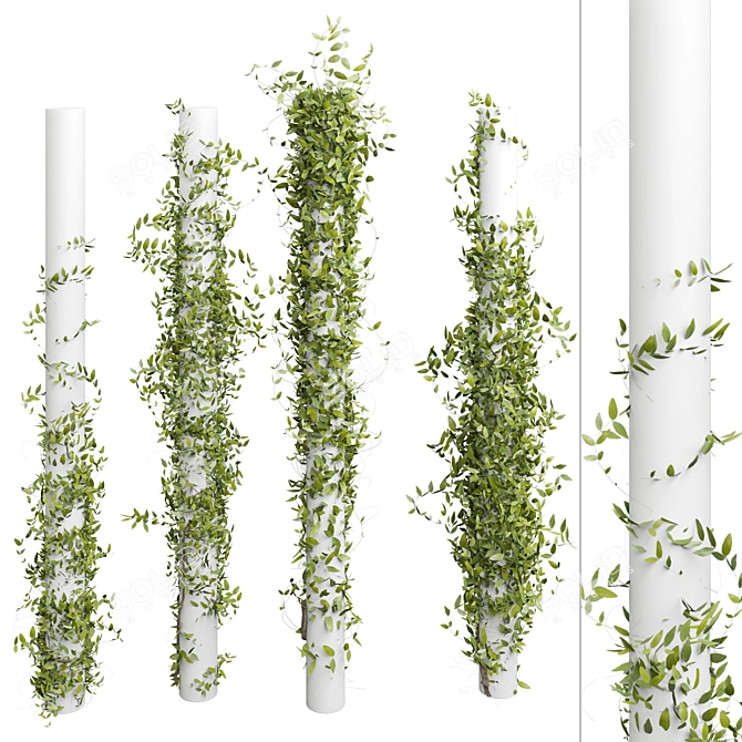 Outdoor Plant 180 3D Model 3D model image 2