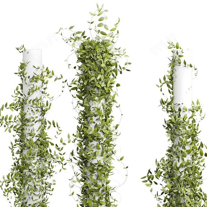 Outdoor Plant 180 3D Model 3D model image 3