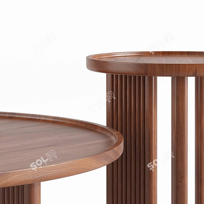 Diagil Walnut Coffee Tables 3D model image 2