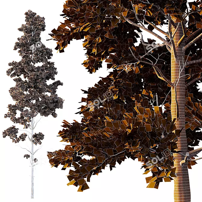 Pin Tree Collection 3D Models 3D model image 4