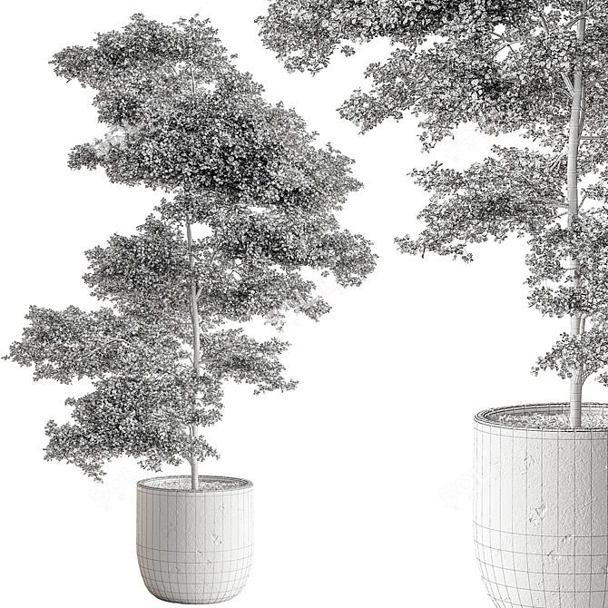 Green Oasis Tree in Pot 3D model image 4