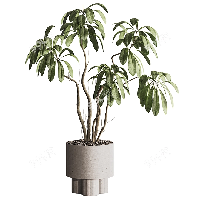 Contemporary Indoor Plant in Pot 3D model image 1