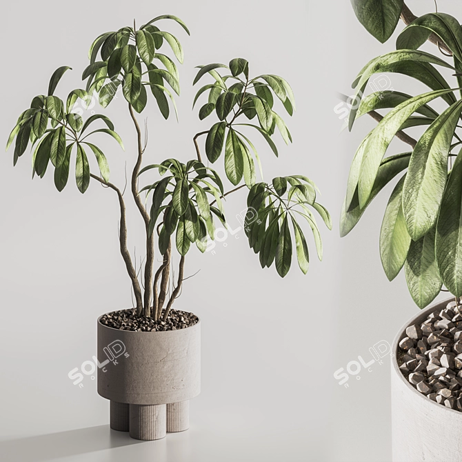 Contemporary Indoor Plant in Pot 3D model image 3