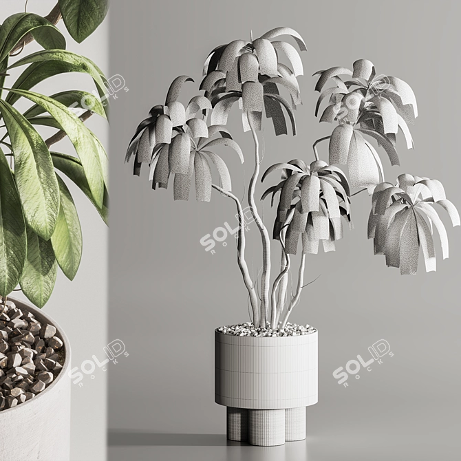 Contemporary Indoor Plant in Pot 3D model image 5