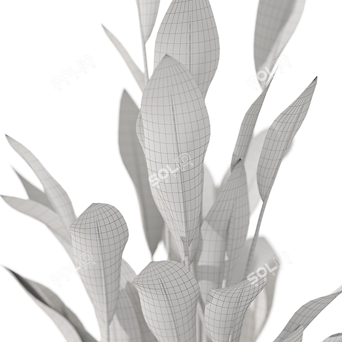  Botanical Beauty Assortment 90376/91771 3D model image 5