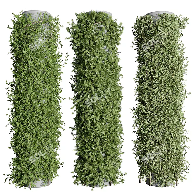 Elegant Column Garden Ivy{/*Translate from Russian if needed*/} 3D model image 1