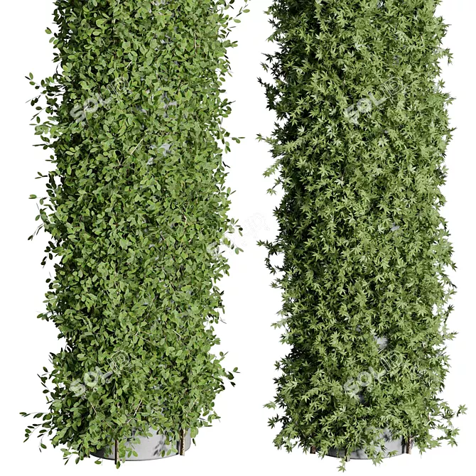 Elegant Column Garden Ivy{/*Translate from Russian if needed*/} 3D model image 4