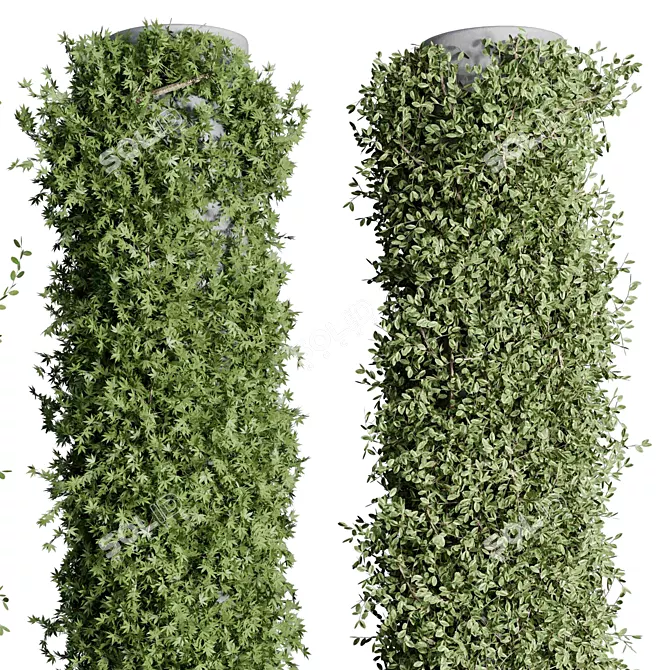 Elegant Column Garden Ivy{/*Translate from Russian if needed*/} 3D model image 5