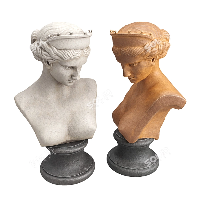 Ancient Venus Bust Sculpture 3D model image 6