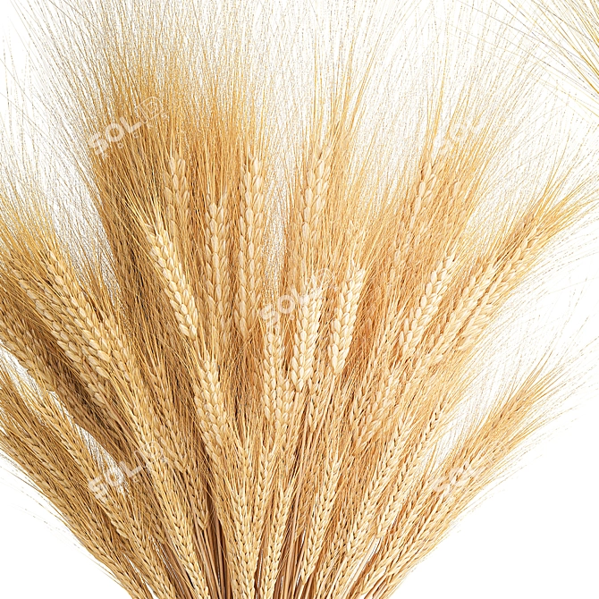 Summer Field Wheat Bouquet 3D model image 2