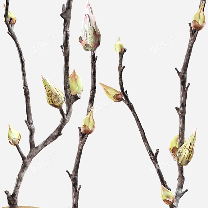 Spring Branch Bathroom Decor Set 3D model image 5