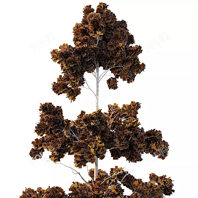 Variety Pin Tree Collection - 4 Models 3D model image 3