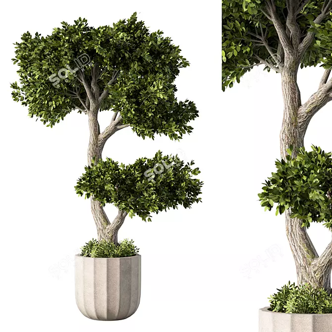 Botanical Bliss Collection: Fresh Greenery 3D model image 2