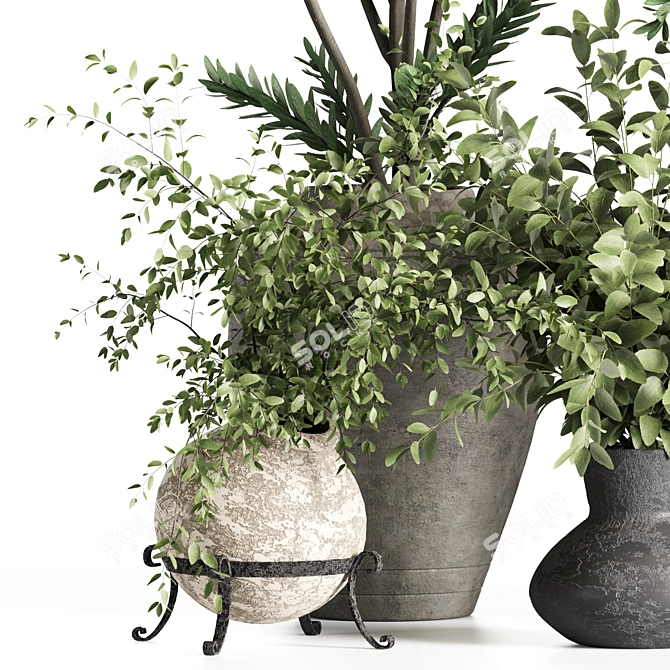 Ant Plants Indoor Set Concrete 3D model image 3