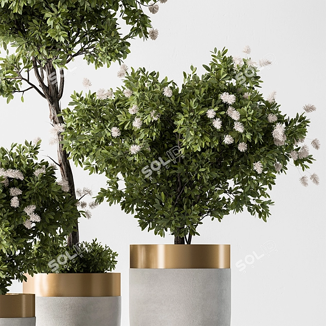 Botanical Beauty - Indoor Tree Display 3D model image 4