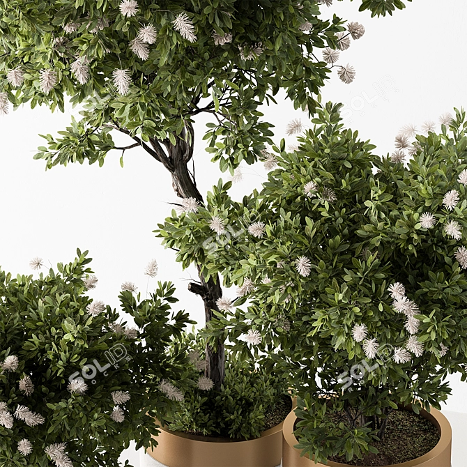 Botanical Beauty - Indoor Tree Display 3D model image 5