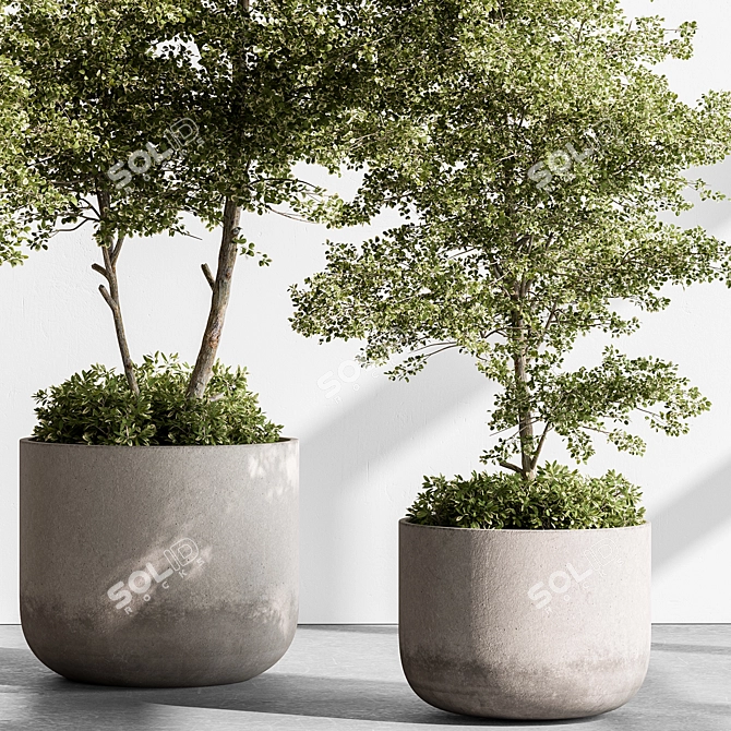 Hanging Tree in Outdoor Pot 3D model image 3