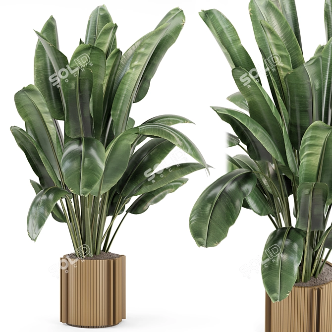 Wooden Pot Indoor Plant Set 3D model image 1