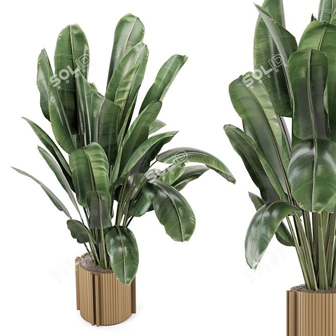 Wooden Pot Indoor Plant Set 3D model image 2