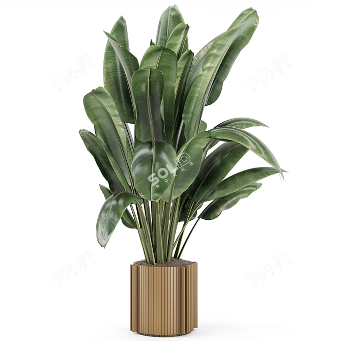 Wooden Pot Indoor Plant Set 3D model image 3