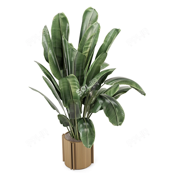 Wooden Pot Indoor Plant Set 3D model image 4