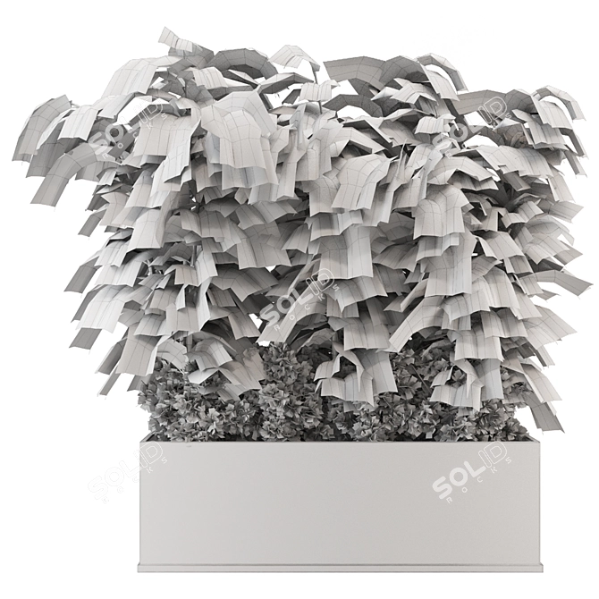 Indoor Ficus in Black Pot - 3D Model 3D model image 5